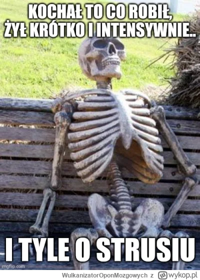 WulkanizatorOponMozgowych - Memento mori..
#kononowicz