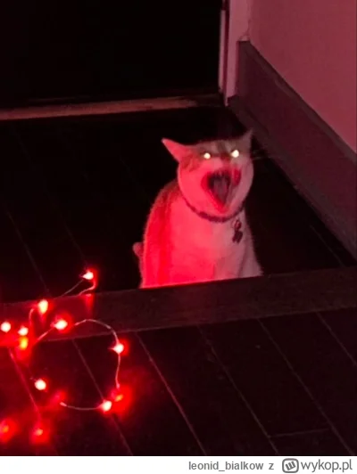 leonid_bialkow - AAAAAAAAAAAAAAAAAAAAAAAAAAAAAAAAAAAAAAAAAAAA