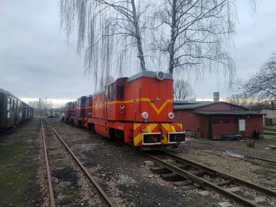 sylwke3100 - Wonsz (Rumunów) niejedną stacja trząsł. 

Czyli lokomotywy Lxd2 na stacj...