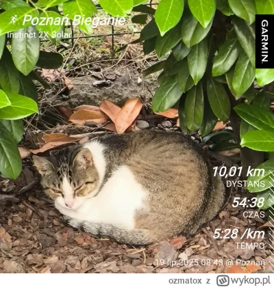 ozmatox - 22 627,96 - 10,01 = 22 617,95

Duża wilgotność.....jakoś ciężko szło...

#k...