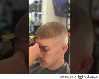 Zwierz33 - @HuopWsiowy: BuzzCut