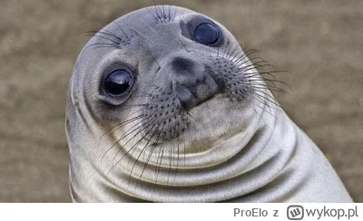 ProElo - serio k---a takim ludziom powinno się odbierać prawo jazdy dożywotnio i pięt...