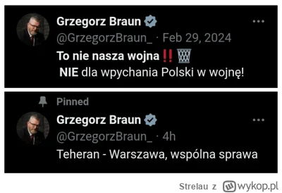 Strelau - >Bernie Sanders i Grzegorz Braun mówią dziś jednym głosem - Tel Awiw? Nie n...