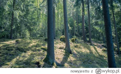 n.....u - Las Las Las