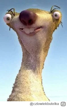 czlowiekbutelka - #slubodpierwszegowejrzenia