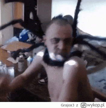 Grajox3 - Koala śpi 22 godziny na dobę i jest wicemistrzem świata w spaniu.
Pierwsze ...