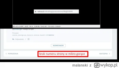 malanski - Na mikroblogu w gorących przy przyciskach "Poprzednia" i "Następna" nie ma...