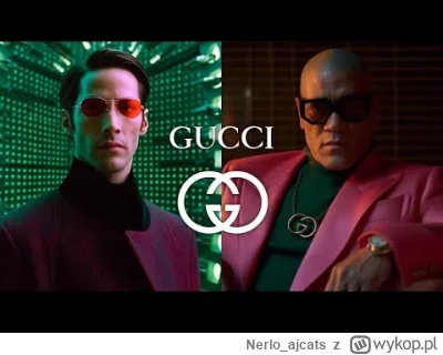 Nerlo_ajcats - To fajne xd