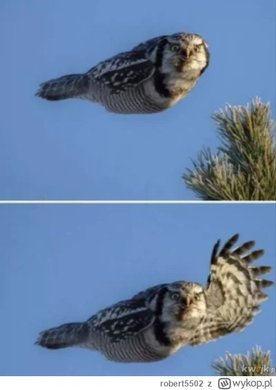 robert5502 - Cześć. Lece do roboty 
ps #j--------e jeden z bardziej poyebanych snów. ...