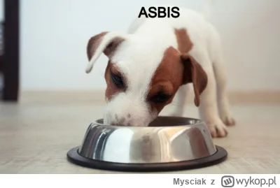 Mysciak - https://strefainwestorow.pl/wiadomosci/20230721/przychody-asbisu-w-czerwcu-...