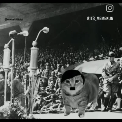 Strigon - #ocieplaniewizerunkuadolfahitlera #koty