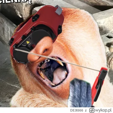 DEX666 - @pawello321: Cyberpunk Polska 2137