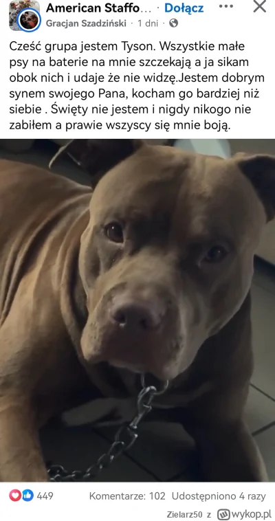 Zielarz50 - Ehhh ten Gracek, nie dość że wali w pierwszy dzień świąt to jeszcze utożs...