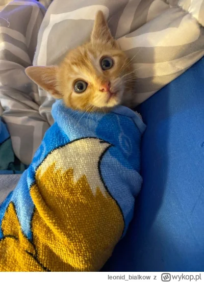 leonid_bialkow - @annlupin: cze dla ciebie