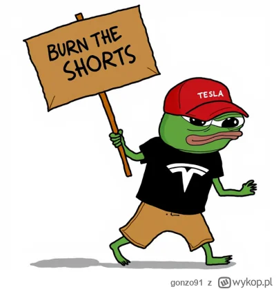 gonzo91 - #gielda #tesla