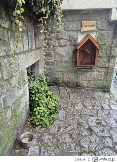 Casuel - Wszedlem na Ślężę, a na szczycie woda dla psow. A w srodku tez piesek, i nik...