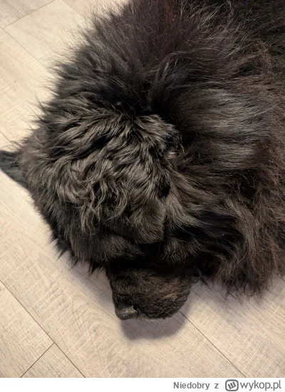 Niedobry - Sobotkowo. Z konikiem wodnym. (｡◕‿‿◕｡)