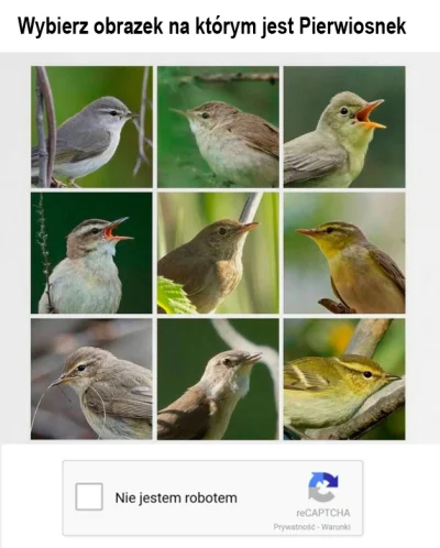 RFpNeFeFiFcL - >@cyconiusz: był na wykopie wspaniały komentarz odnośnie nazewnictwa w...