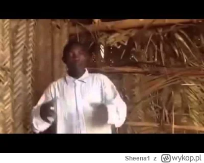 Sheena1 - Dumbledore teraz #harrypotter