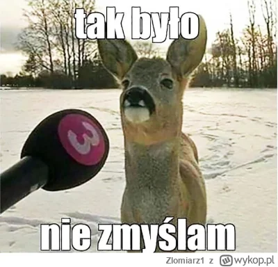 Zlomiarz1 - @Ama-gi: