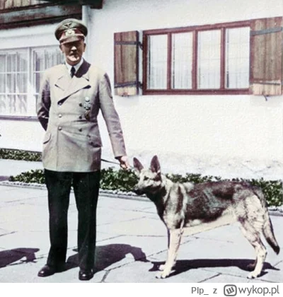 Plp_ - >bezwarunkowo za to kim jesteś ( ͡° ͜ʖ ͡°)

@ElPerdedor: Blondi pokochała Hitl...