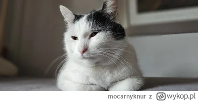 mocarnyknur - @thorgoth imiennik pozdrawia