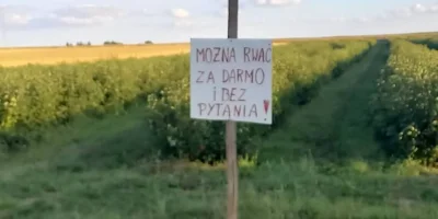 raul7788 - #rolnictwo #bekazpisu #lubelszczyzna

https://twitter.com/bozenalisowska/s...