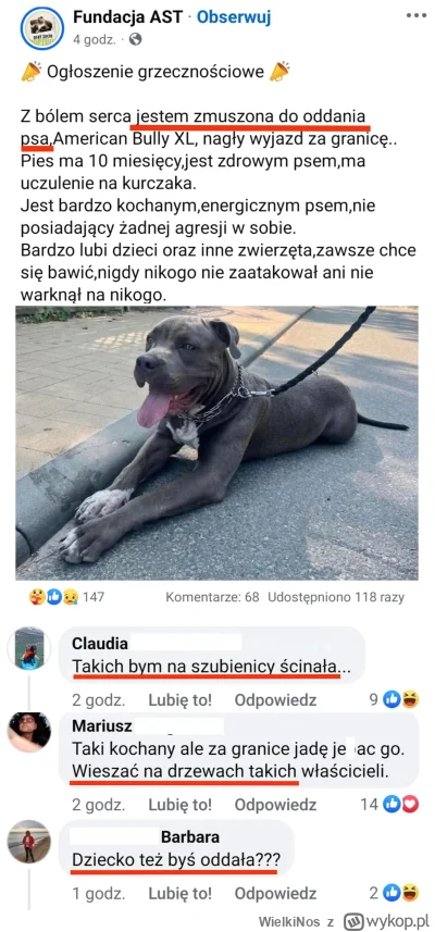 WielkiNos - Psiarze się zesrali, bo kobieta chce oddać psa. Nie robi nic złego, różni...