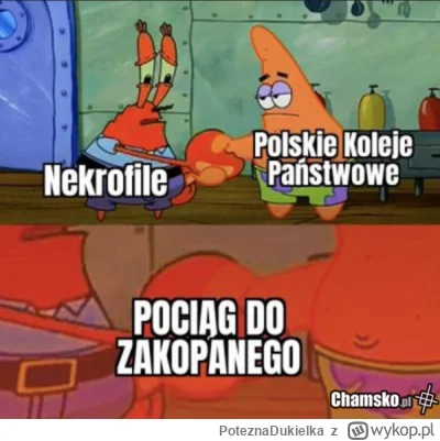 PoteznaDukielka - #heheszki #humorobrazkowy