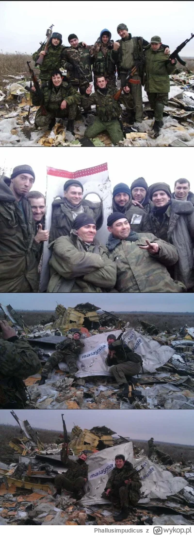 Phallusimpudicus - > On 17th of July 2014 the plane MH17 from Malaysian Airlines, fly...