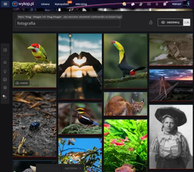 WykopX - Wykop X PhotoViewer - widok przeglądania multimediów na stronach konkretnego...