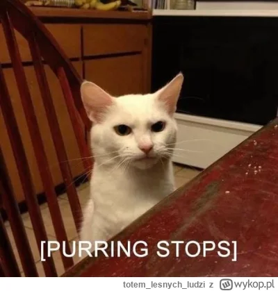 totemlesnychludzi - @nWaldziu: