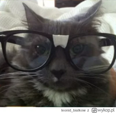 leonid_bialkow - @wfyokyga: cze