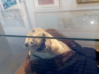 Cybek-Marian - uśmiech proszę ;))