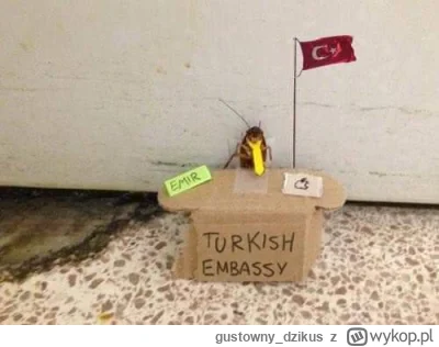 gustowny_dzikus - @wfyokyga: