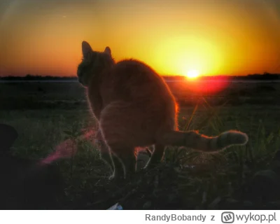 RandyBobandy - @StonkaM: