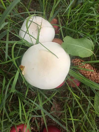 picasssss1 - @picasssss1