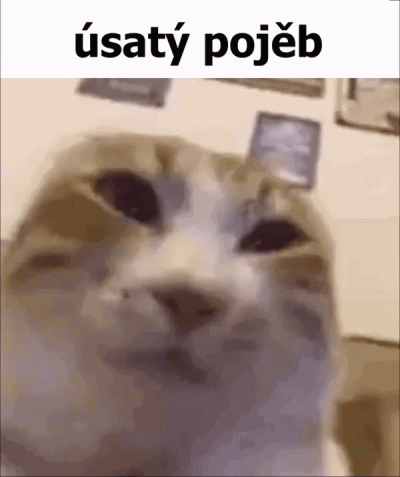 blahajo - @ValandilNW: