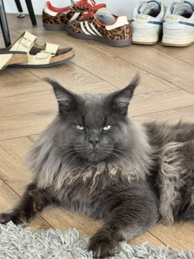 krystiano_ps3 - do spania