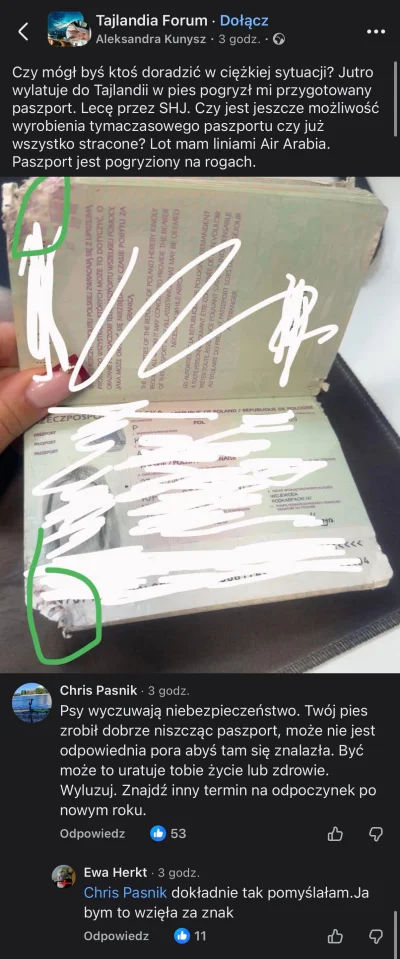 Ka4az - Ktoś mi powie co tu się o--------a? XD

#psiarze #psy #c---------------a #log...