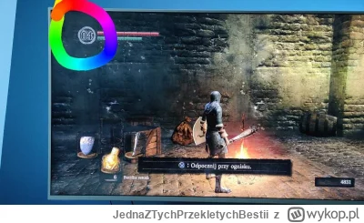 JednaZTychPrzekletychBestii - #darksouls #gry #pytanie

Co to jest?