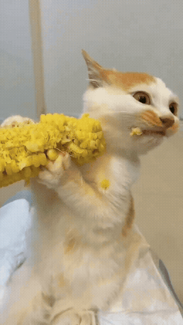 jestemtakizmeczony - @jestemtakizmeczony: