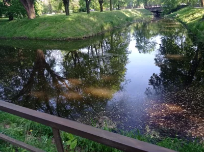 bArrek - Skrzyżowanie wodne w parku w Warszawie