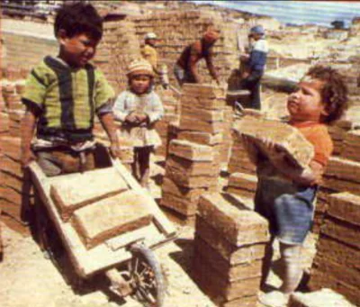 user42 - a ludzie z podstawową wiedzą o demografii powiedzą że to wynik zmiany funkcj...