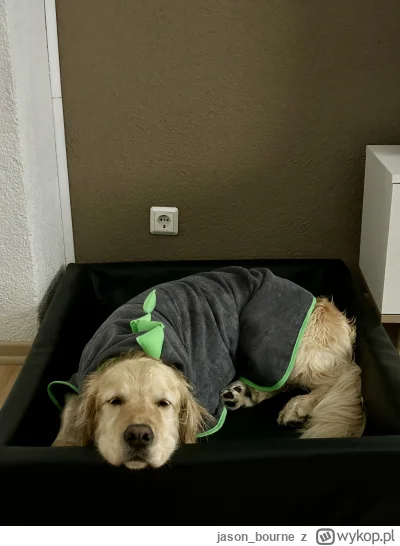 jason_bourne - @kidi1 mój tu zadowolony z dziennego rozlewu krwi.