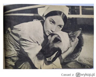 Casuel - Czas, by Hollywood doceniło czworonożnych artystów

Pojawiła się inicjatywa,...