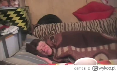 gamczi - Lewe zwolnienie wypisała lekarz ...chrum, że jest. Chory

A KONON ZDROWY JAK...