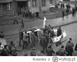 Kolanka - W nocy 16 na 17 listopada, w walce przeciwko lobby deweloperskiemu, poległ ...