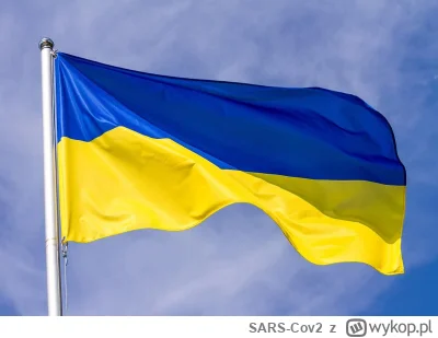 SARS-Cov2 - Mów co chcesz, ale moim zdaniem ta flaga jest najpiękniejsza na świecie i...