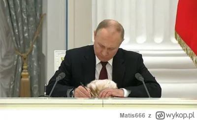 Matis666 - @robertkk a pies j---ł te pomarańczowa małpę na smyczy putina. Dojechać gi...